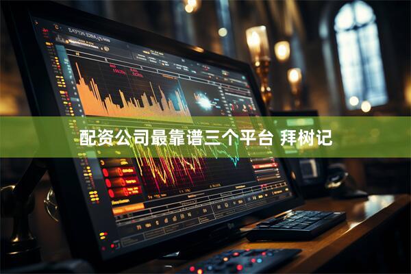 配资公司最靠谱三个平台 拜树记