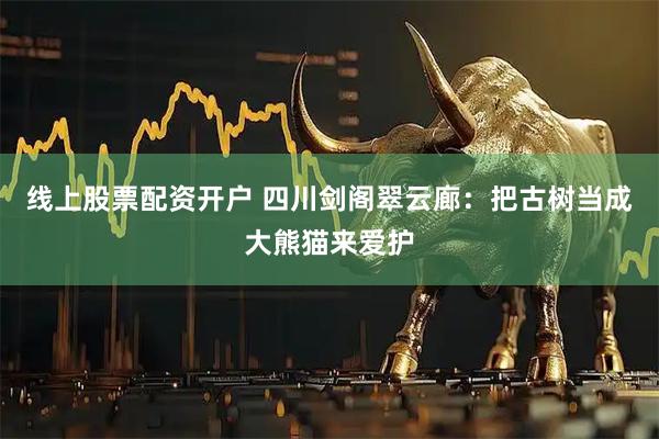 线上股票配资开户 四川剑阁翠云廊：把古树当成大熊猫来爱护